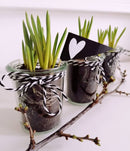 Weck Glass Jars with Lid 140ml 60x70mm (761)