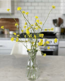 Weck Bottle Glass Jar with Lid 1062ml 60x250mm (766)